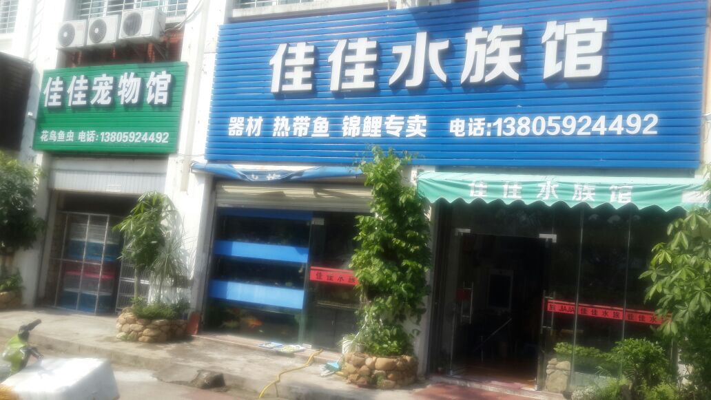 佳佳水族馆(法石东拓小区店)