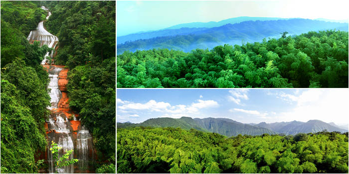 广宁竹海国家森林公园