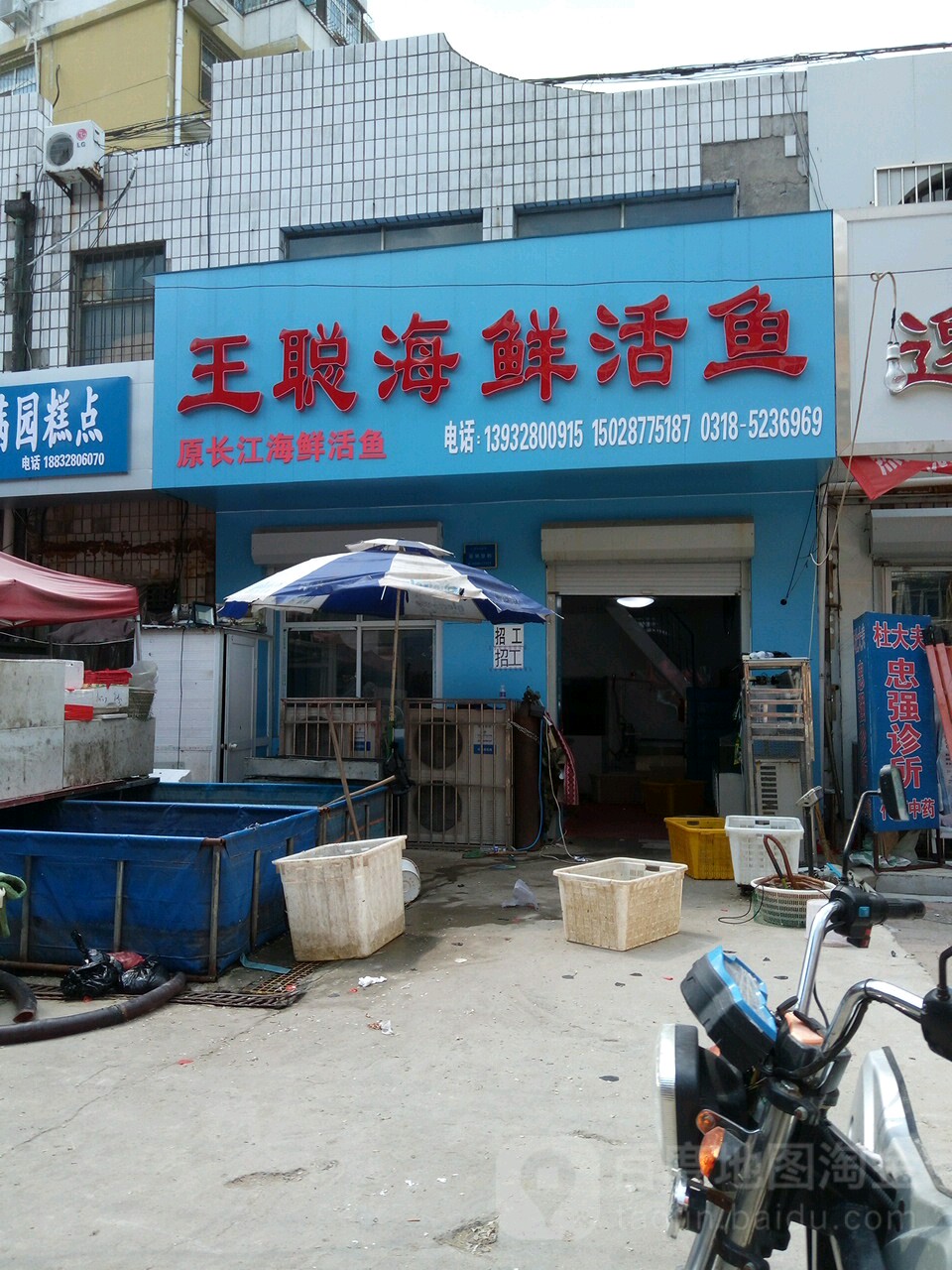 王聪海鲜活鱼