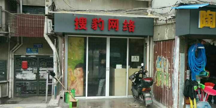 搜豹网络