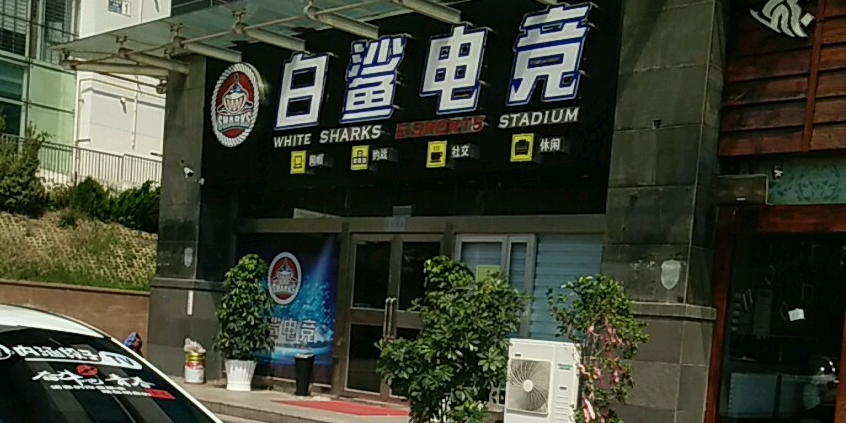 白鲨电竞