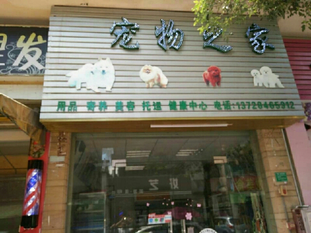 宠物之家(鹿鸣路店)