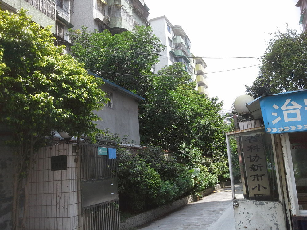 广东科技协新市小区