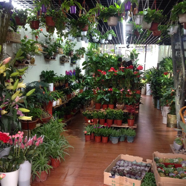 亚兰花店(滨水三里店)