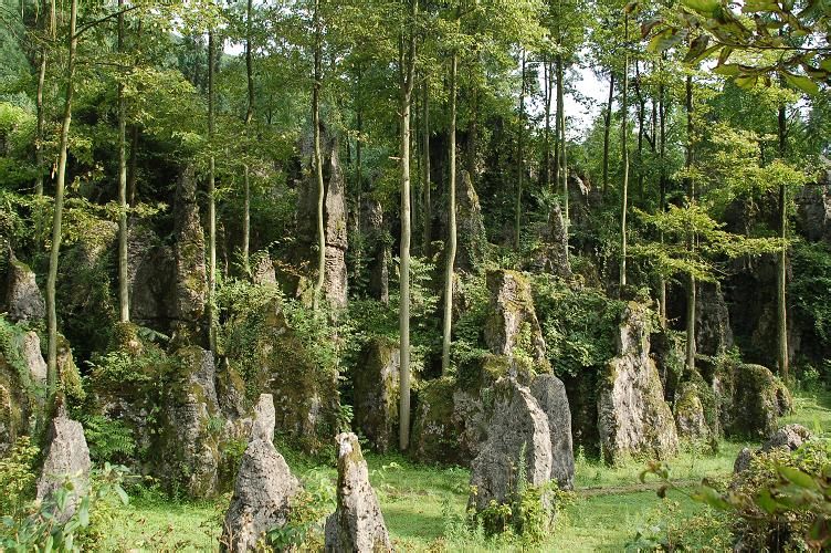 修文县标签: 风景区 旅游景点  大石绿色石林共多少人浏览:3723171