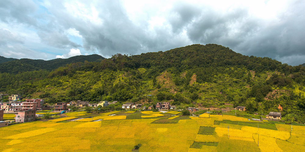 标签:旅游景点 公园 国家公园 国家森林公园 森林公园康禾温泉公园共