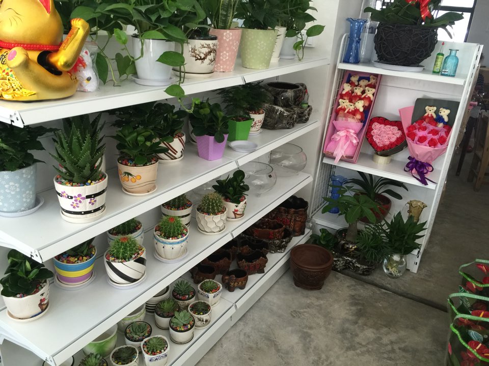 遇花缘花店