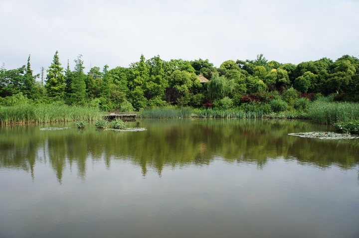 水师深林公园