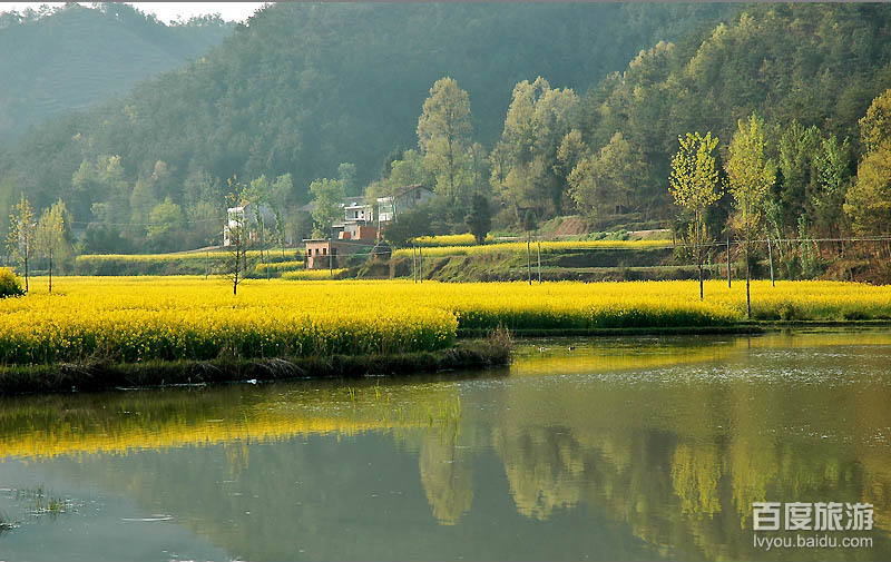 汉中市城固县