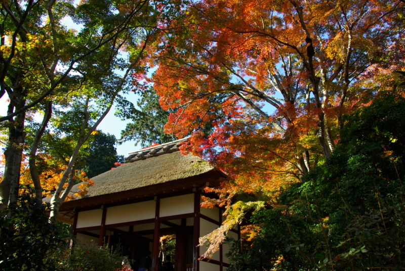 寂纮光寺