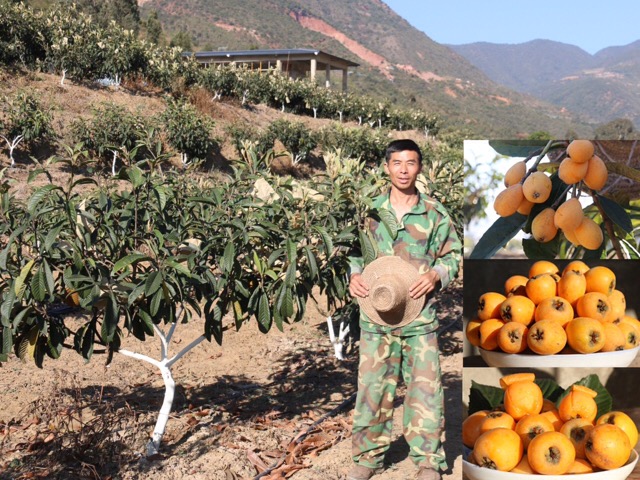 峨山彝族自治县化念镇凤凰社区平乐组80号