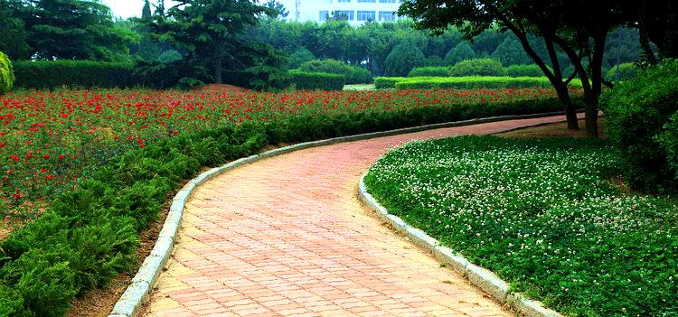 桑干河植物园