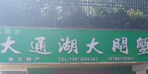 大通湖大闸蟹(盛世金源西北)