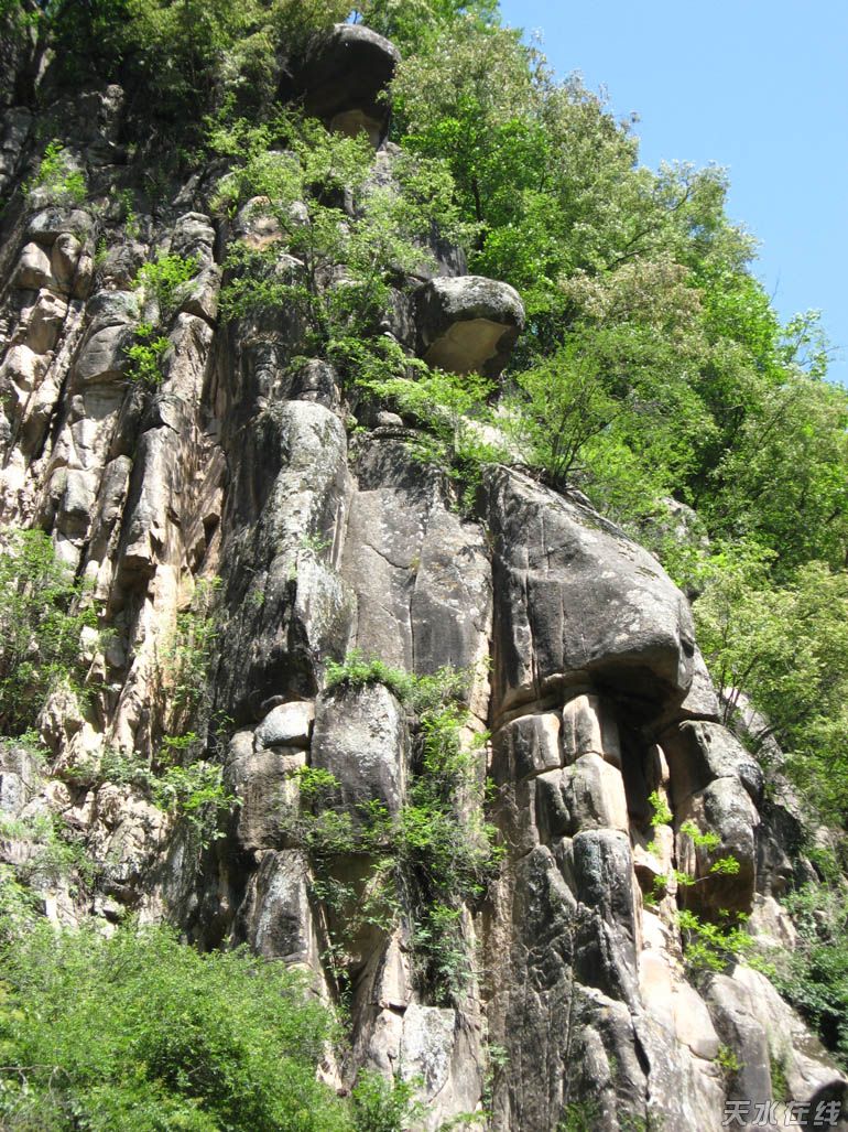 关山云凤风景名胜区万树谷景区