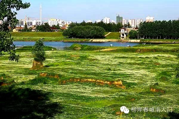 湖北省孝感市大悟县迎宾大道北侧