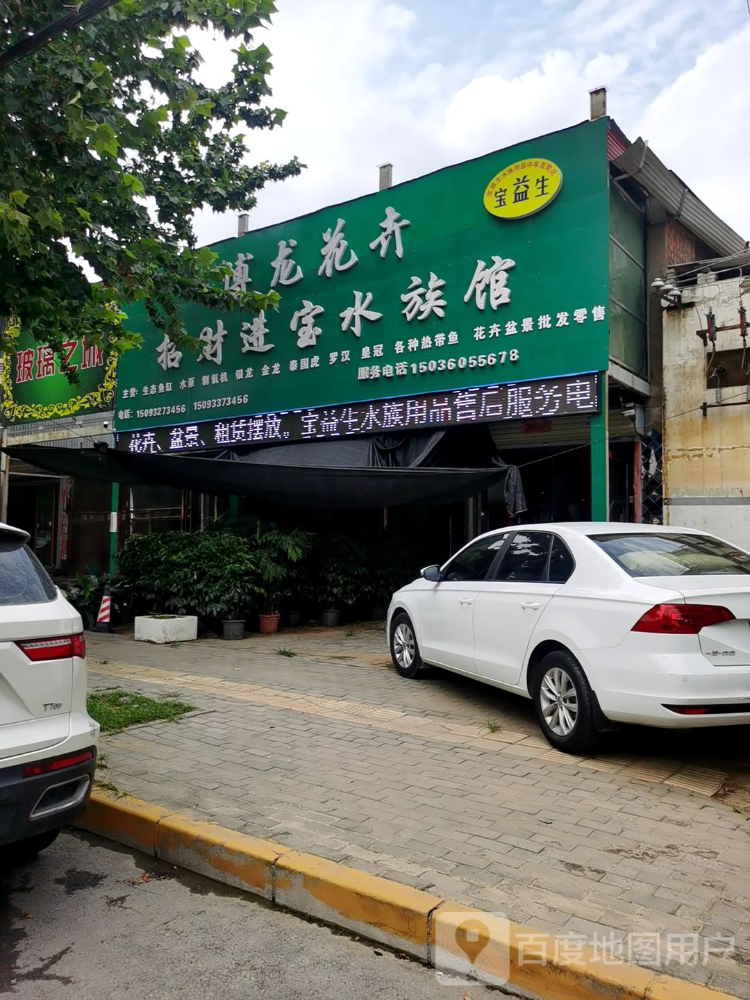 中牟县招财进宝水族馆