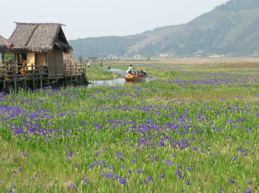 滇彩腾冲湿地公园