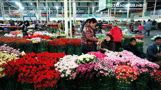 斗南花市-4号馆