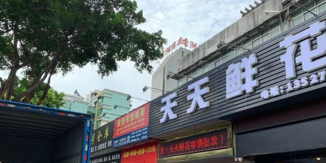 天天鲜花(珠海店)
