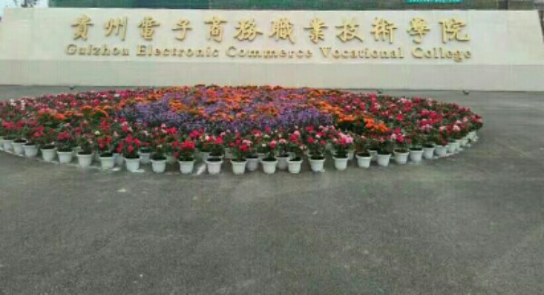 贵州电子商务职业技术学院