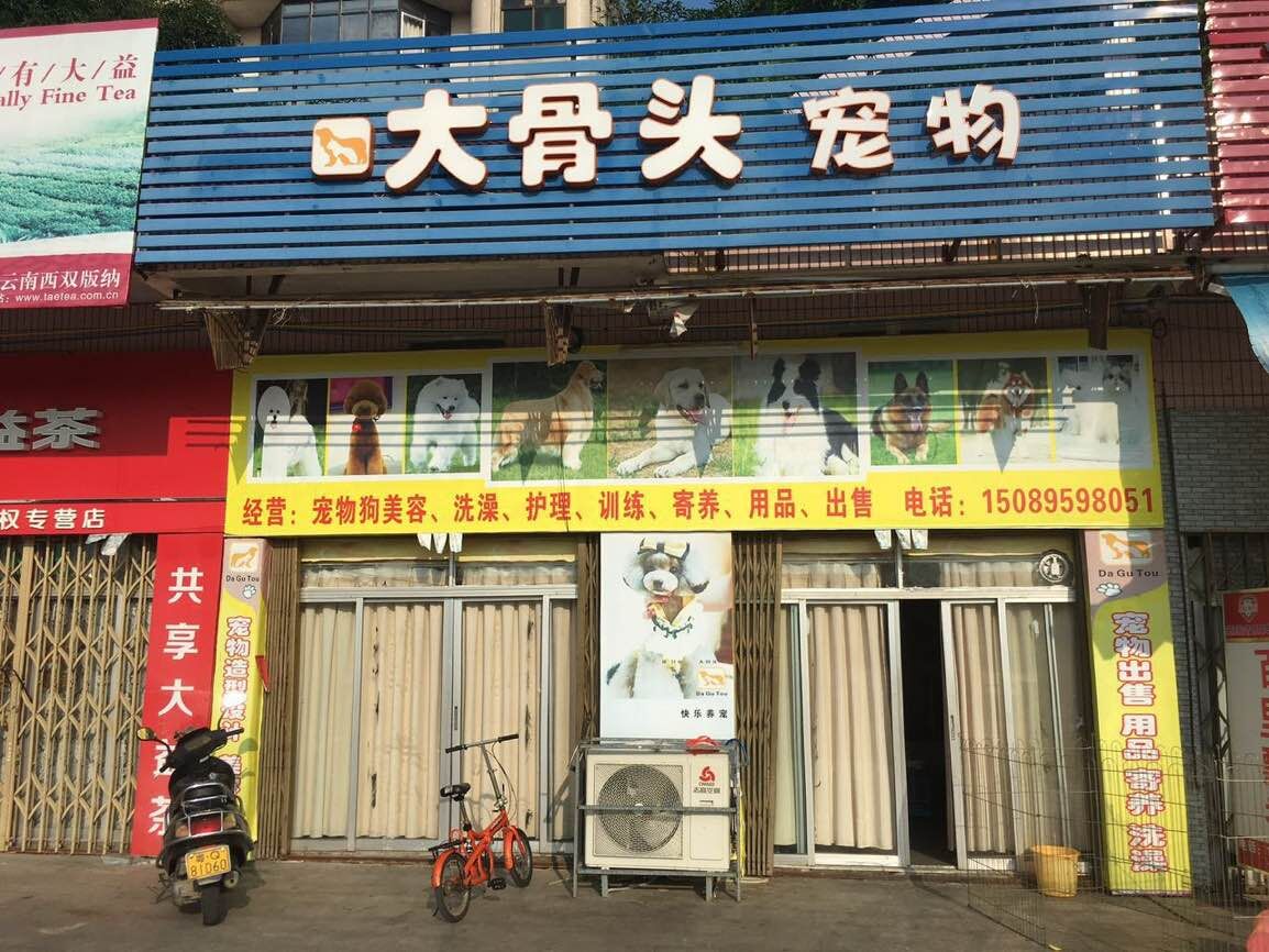 大骨头宠物店