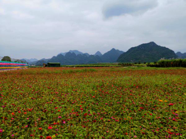 崇左市龙州县扶伦村