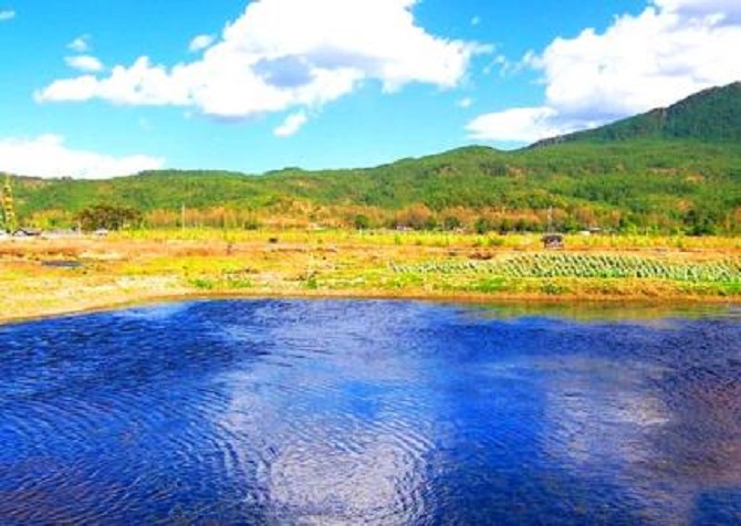 双河林木自然保餬区