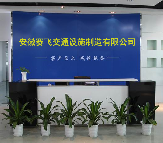安徽省赛飞电动车长