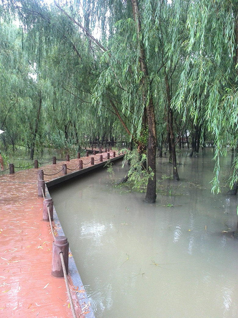 绿地湾湿地公园