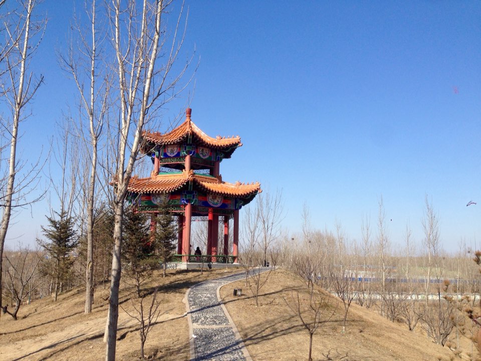 星河森林公园