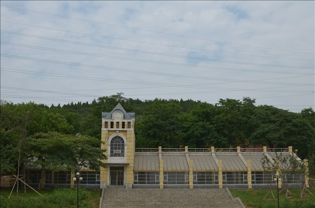 金家街公园