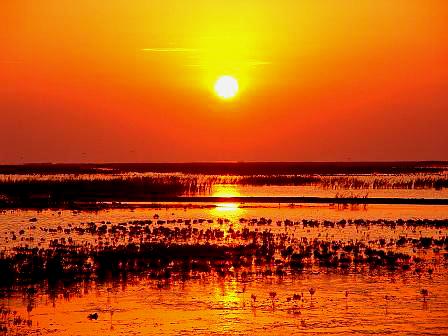 河南省黄河湿地国家森自然保护区