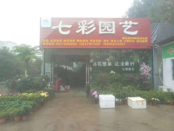 七彩园艺