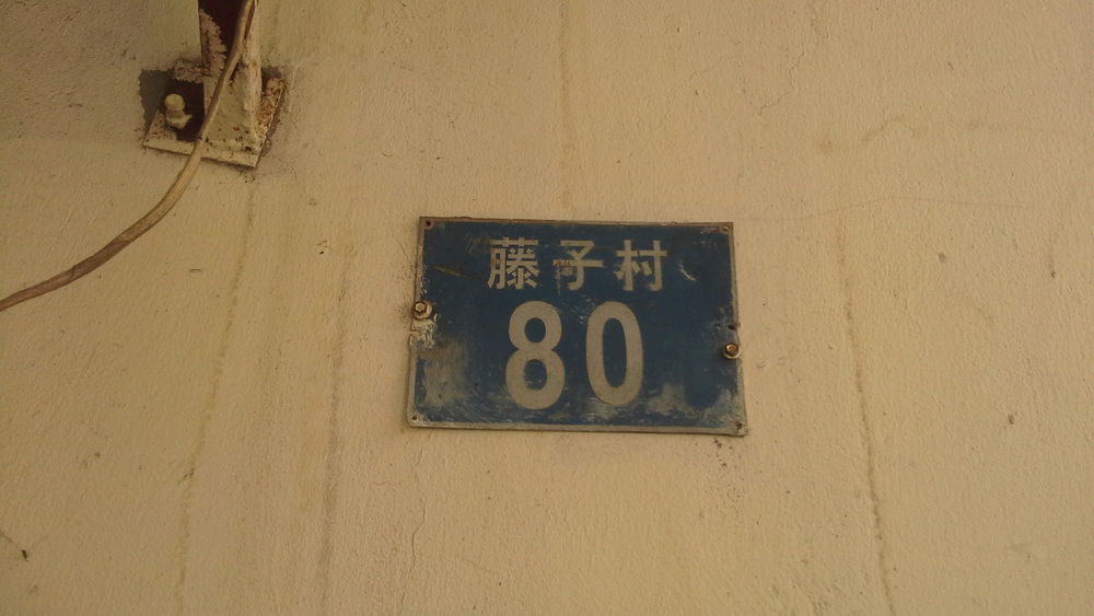 江苏省南京市玄武区藤子村80号