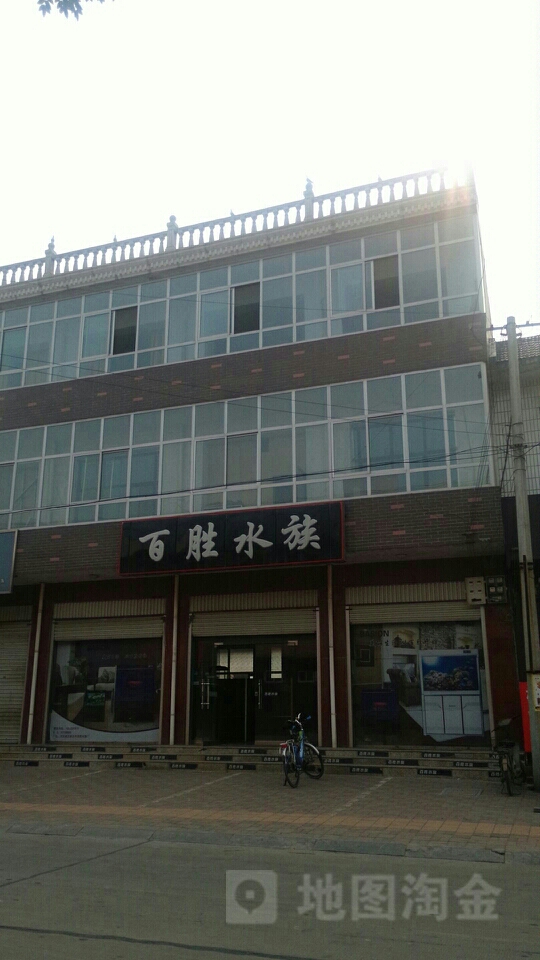 百胜水族(宁晋旗舰店)