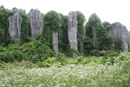 湖南省湘西土家族苗族自治州龙山县011县道西