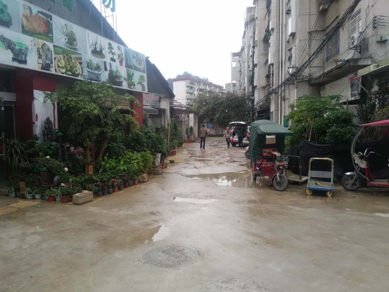 花卉奇石市场