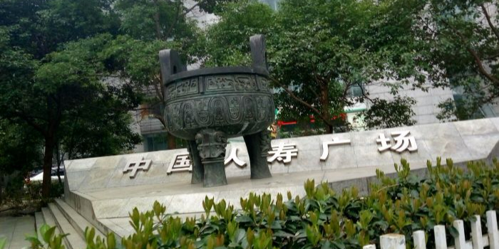 江苏省南京市玄武区中山东路298号大行宫