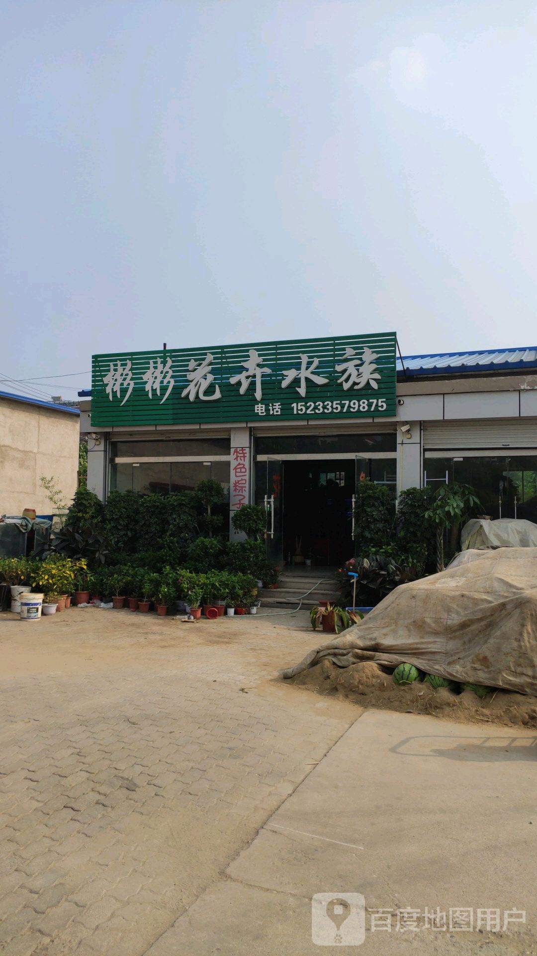 彬彬花卉水族