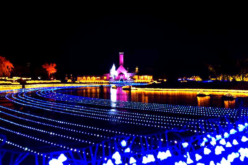 湖北省武汉市江夏区郑店街老屋胡村