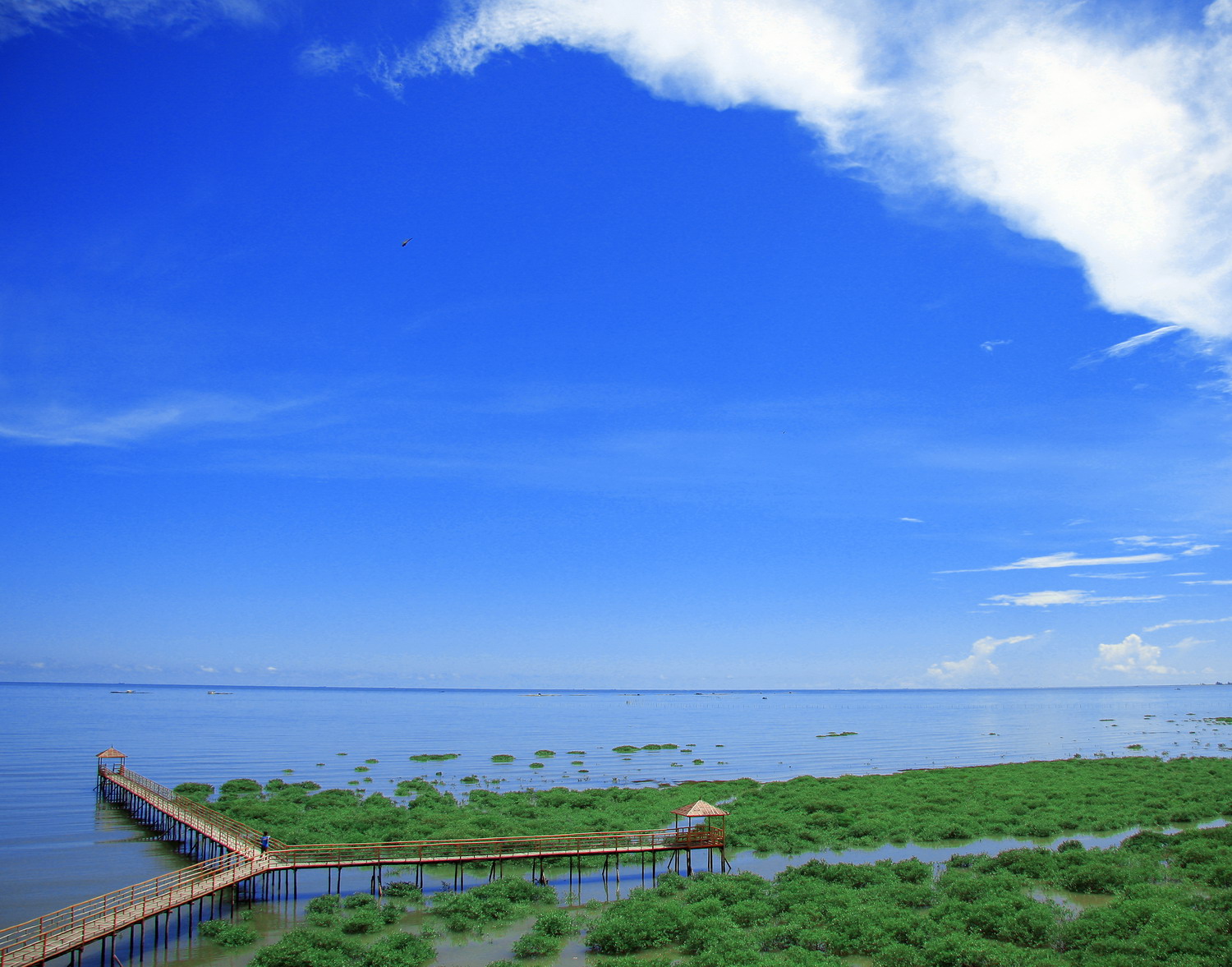 防城港市防城区江山乡石角村