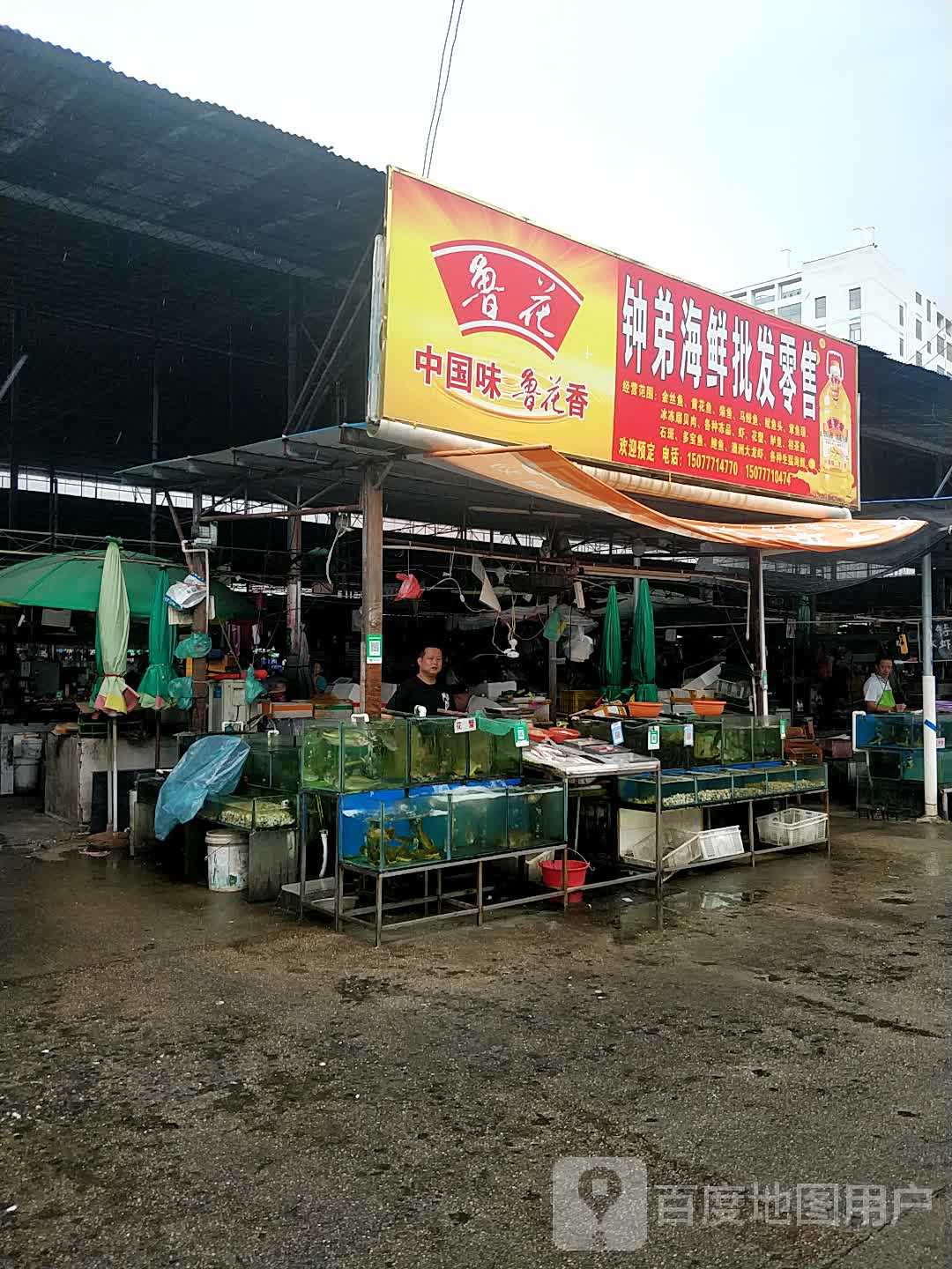 钟弟海鲜批发零售