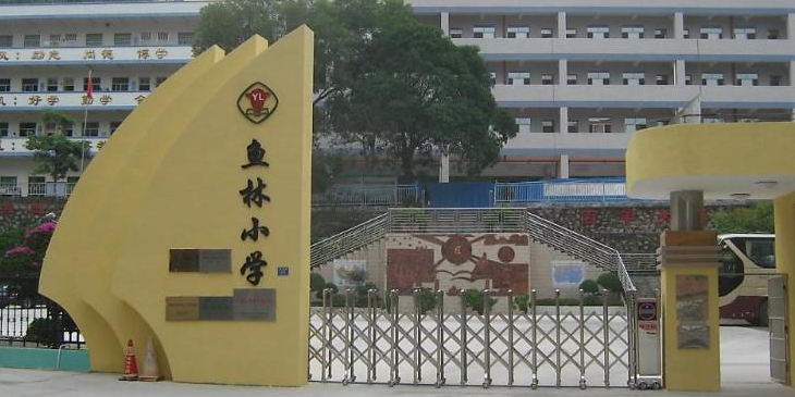 鱼林小学