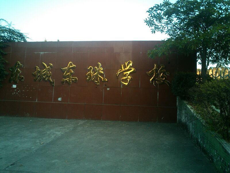 东城东珠学校