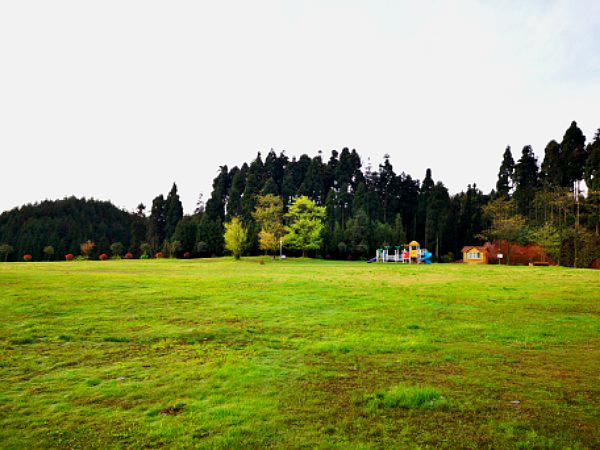 玉平山野鸡坪营地