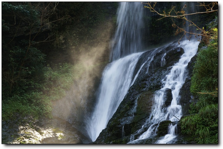 黄山市黟县美溪乡庙林村