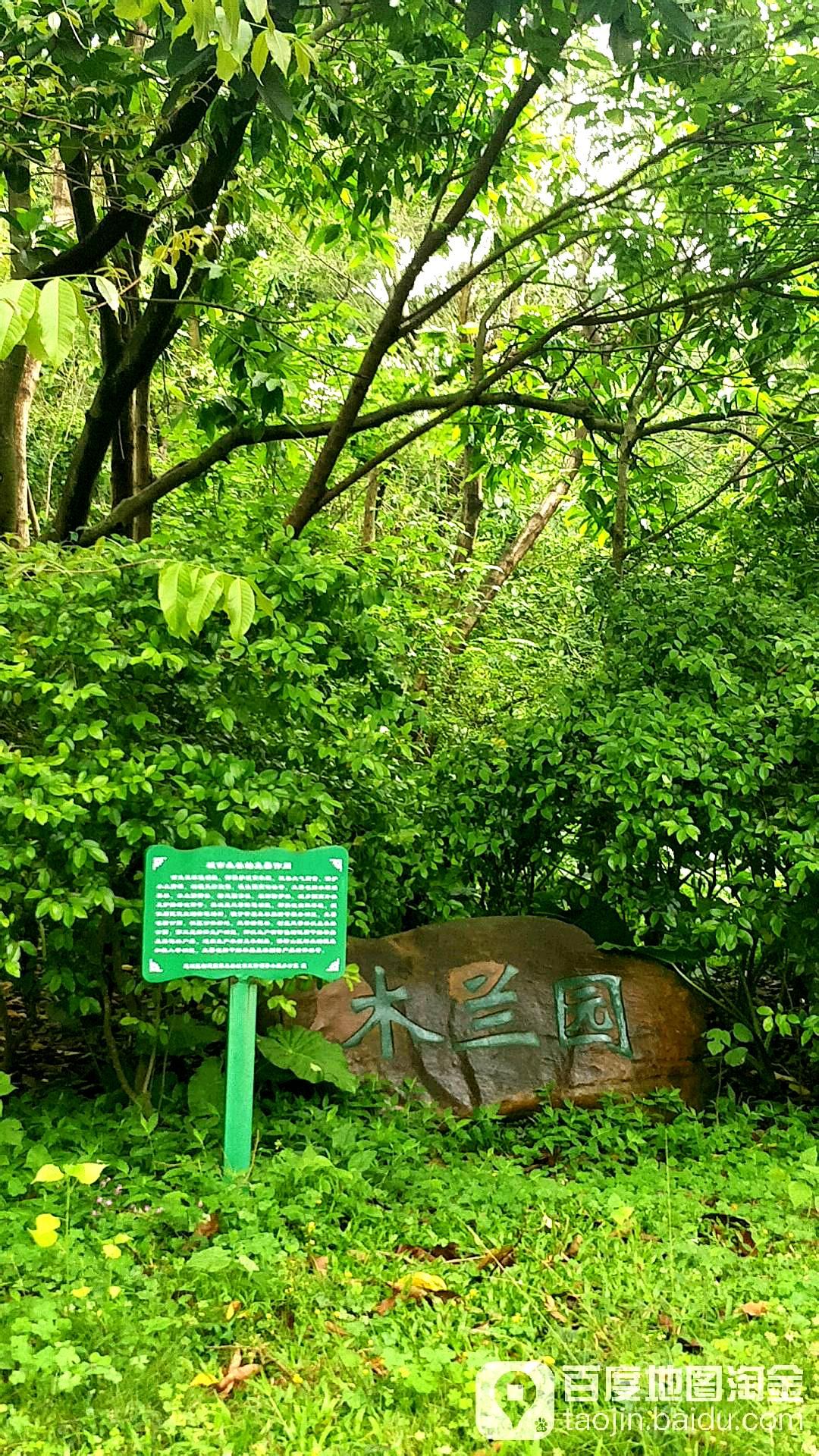 木兰岩(鳄湖路)