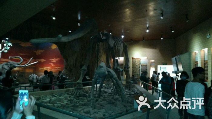 郑州黄河文华公园-地质博物馆