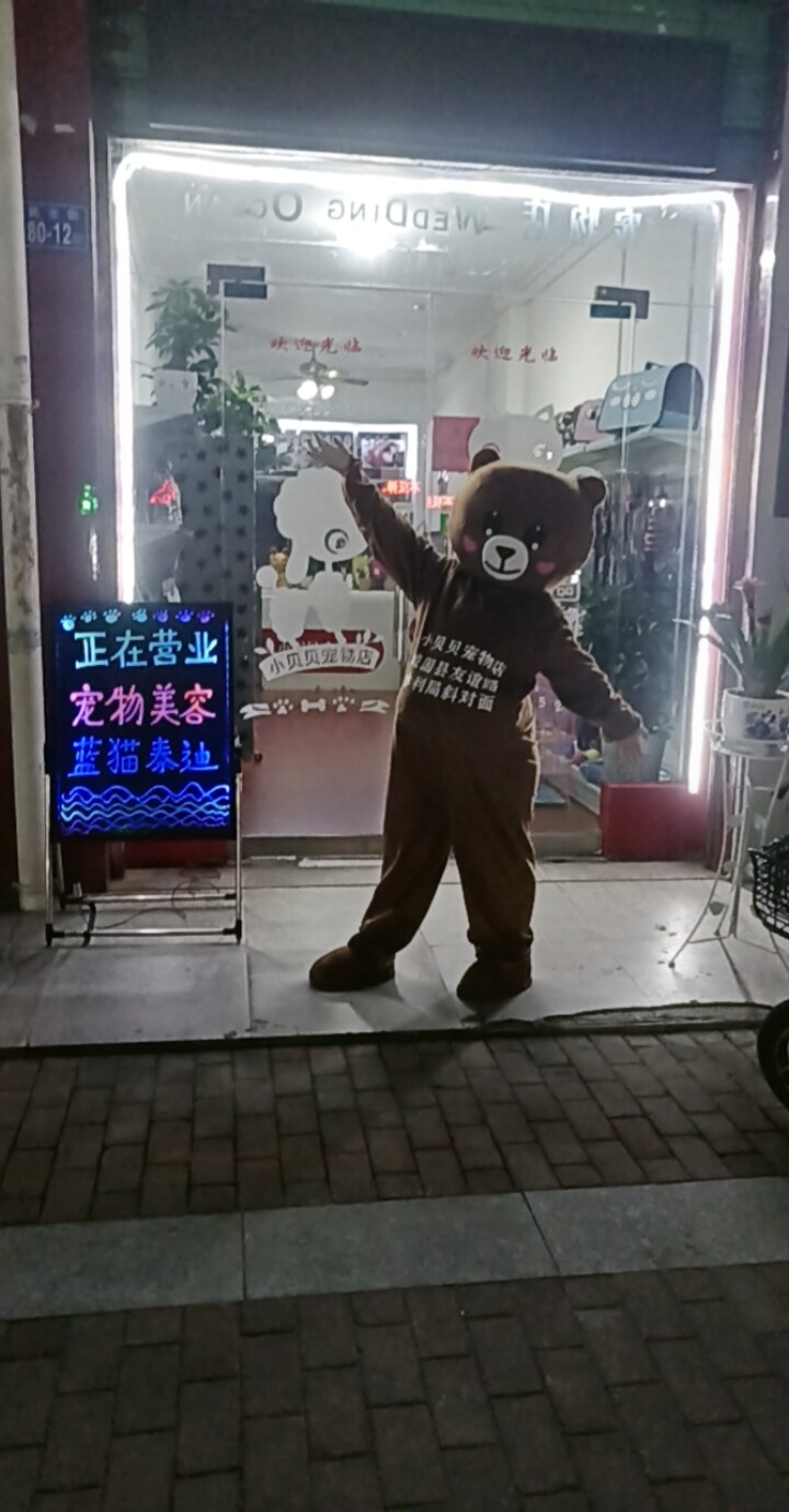 爱宠大本营