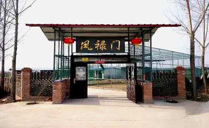 西安市凤禄门孔雀园